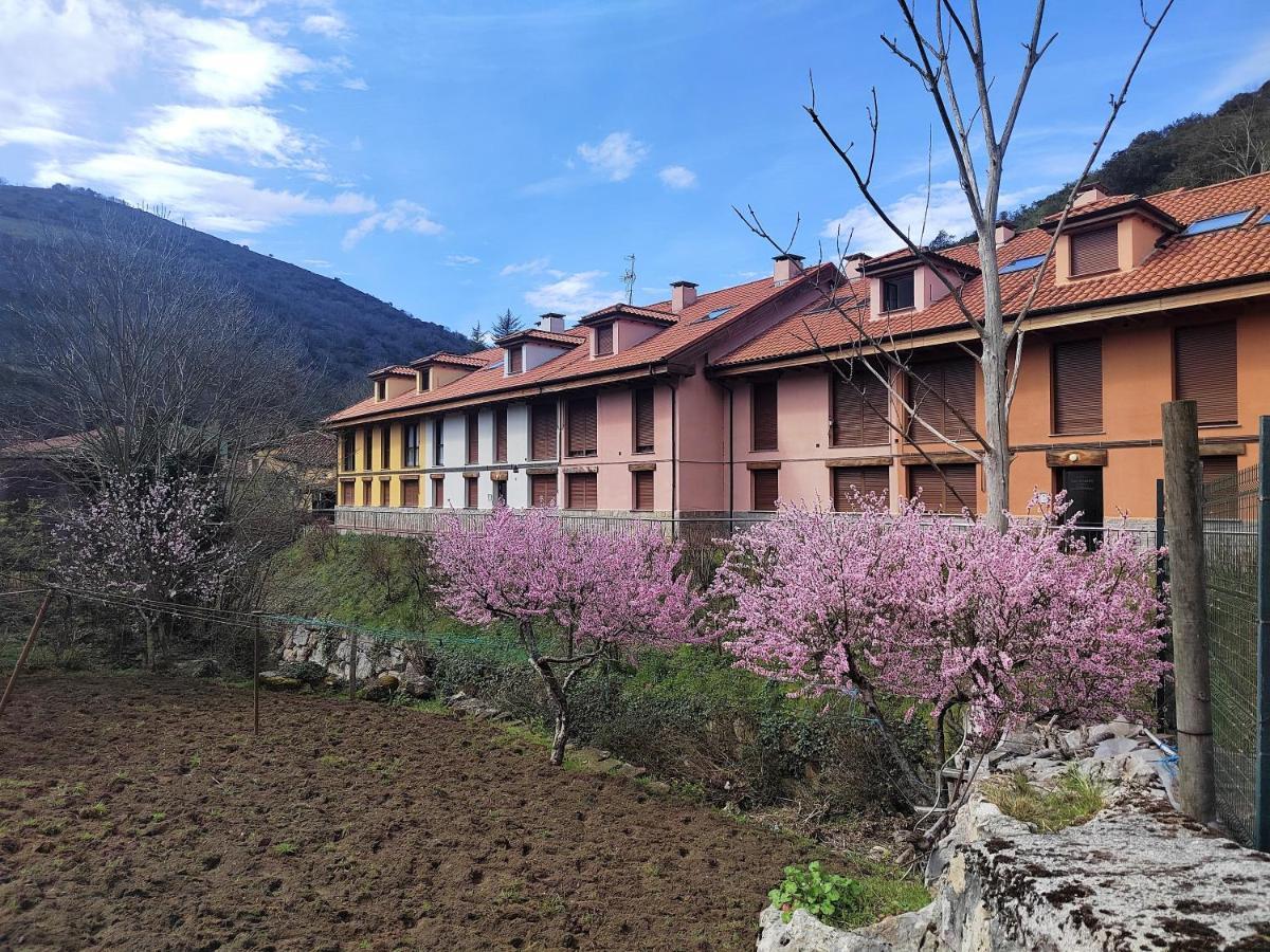 Appartement Cabrales Sol à Carrena de Cabrales Extérieur photo