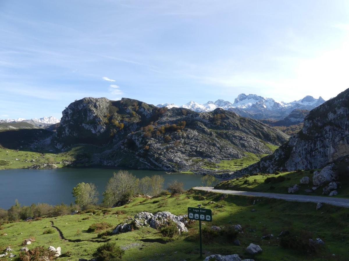 Appartement Cabrales Sol à Carrena de Cabrales Extérieur photo