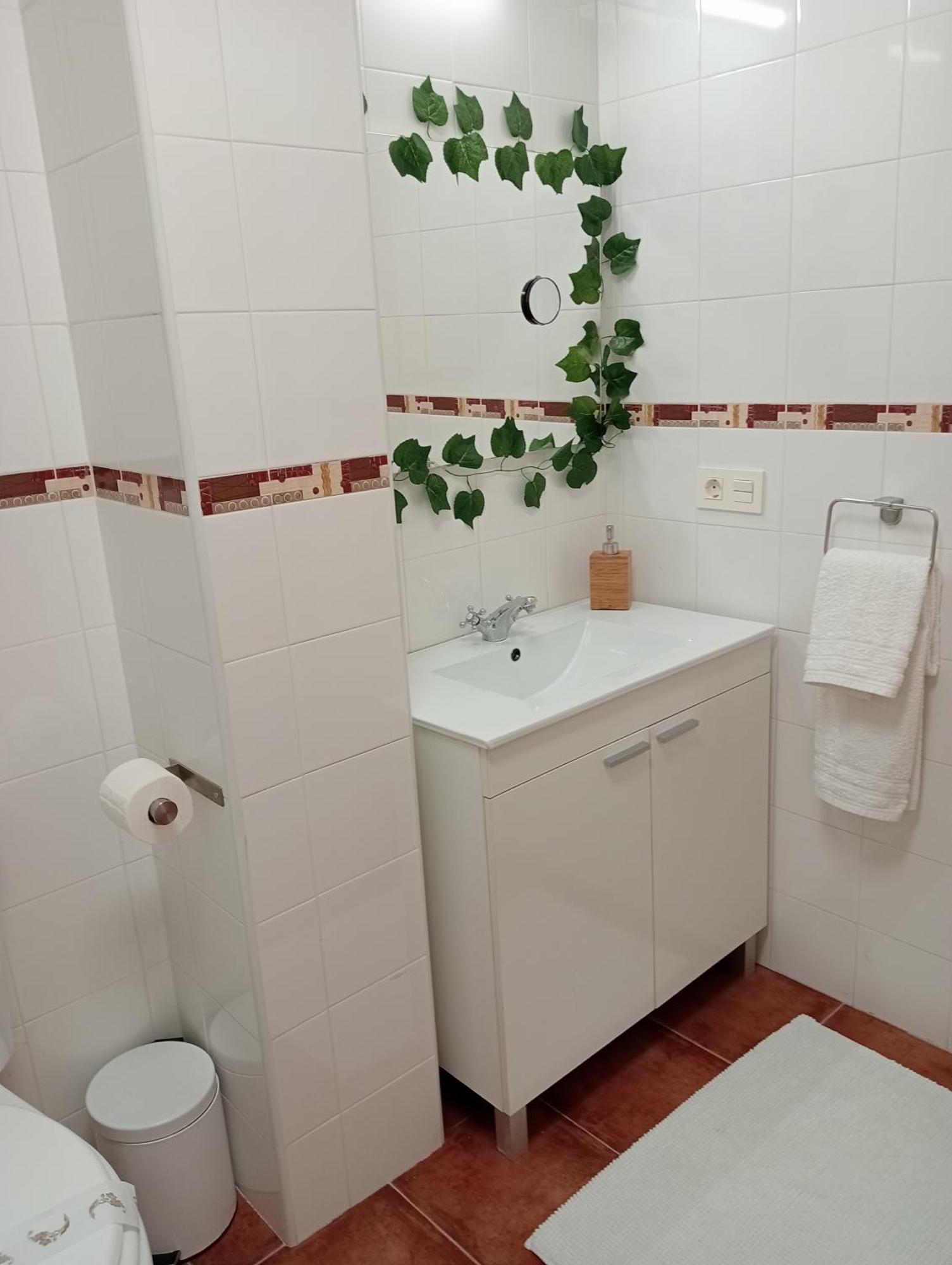 Appartement Cabrales Sol à Carrena de Cabrales Extérieur photo